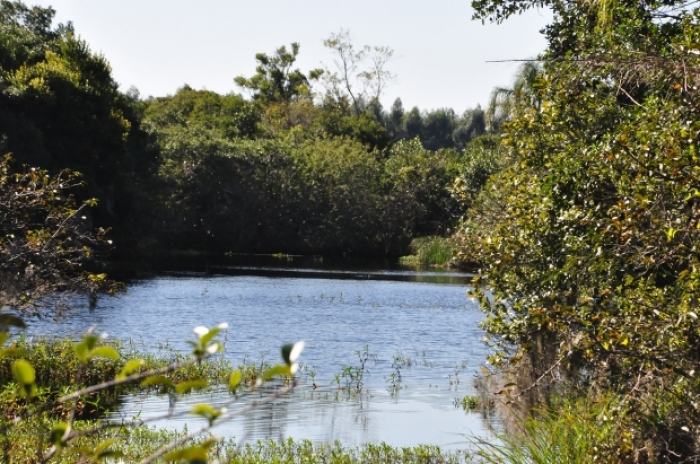 Parque Estadual da Serra do Tabuleiro - Foto: Divulgação / IMA