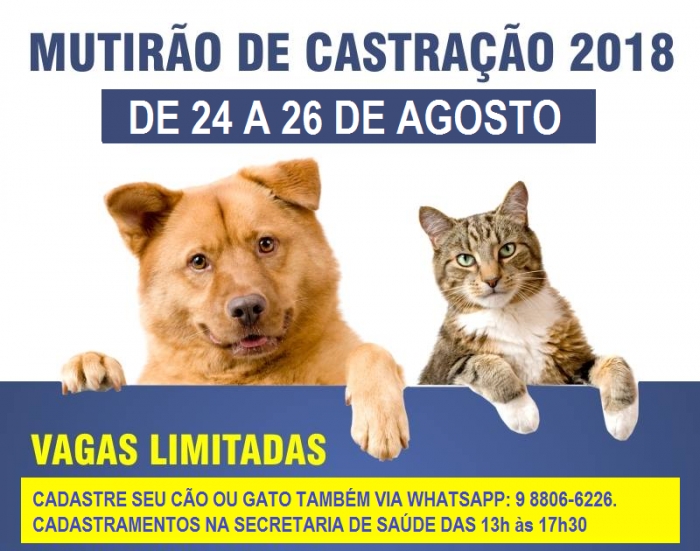 Foto: divulgação 