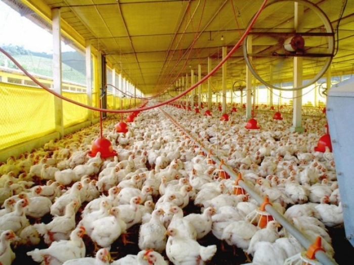 Foto: Secom/Arquivo