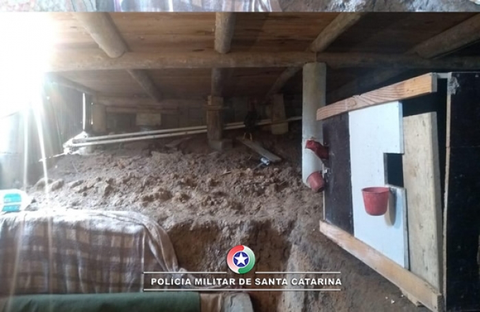 Foto: divulgação