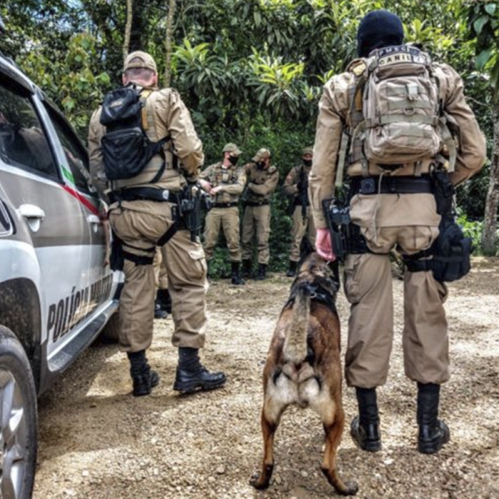 Foto: Divulgação