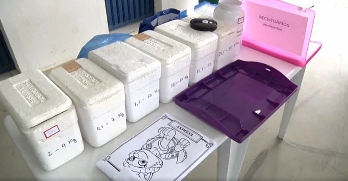 Mutirão de Castração de Cães e Gatos é realizado em Lontras