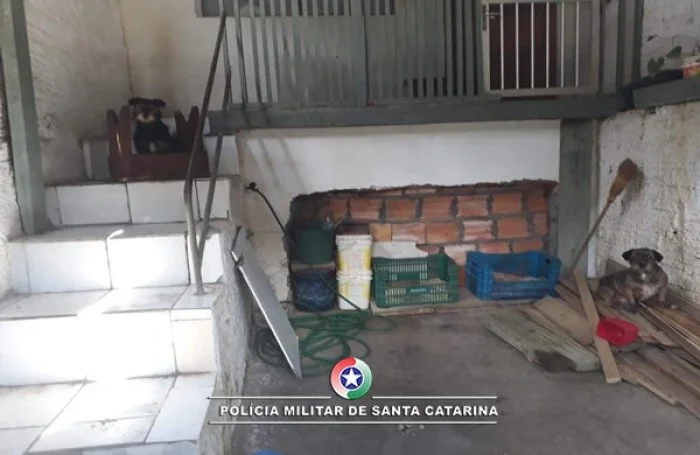 PM auxilia ONG no resgate de animais abandonados em Rio do Sul