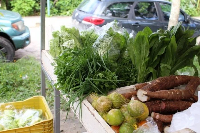 SC cria Política Estadual de Incentivo às Feiras de Produtos Orgânicos