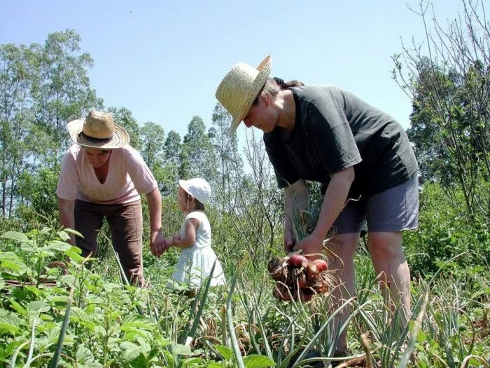 Agricultor familiar precisa renovar DAP até 27 de fevereiro